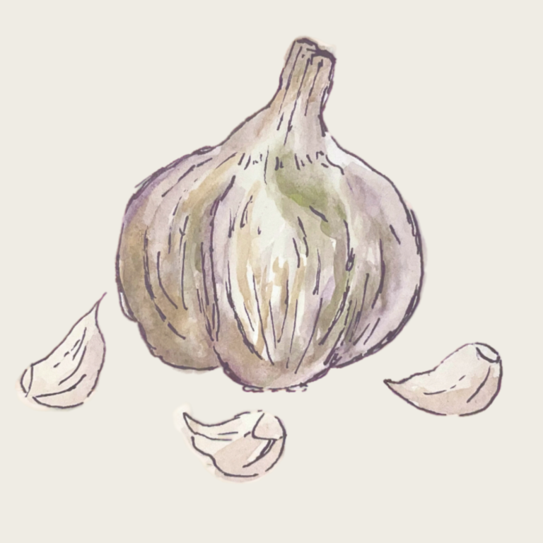 The Garlic Press An Online Literary Magazine For Extra Pungent Poetry the-garlic-press-an-online-literary-magazine-for-extra-pungent-poetry